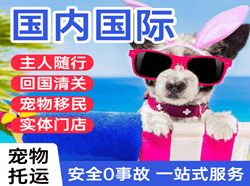 阿尔山航空物流国际宠物托运 【国